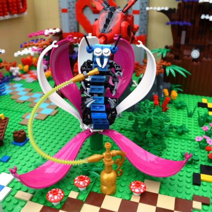 Facebook galleries link